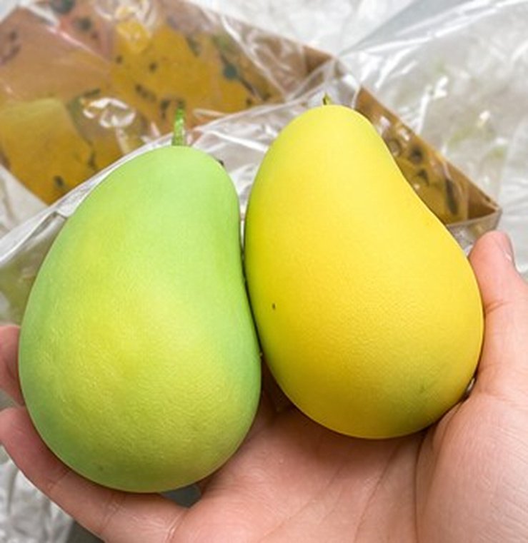 Mangue Slow Rising